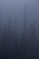 Autumn Mist 09/23/2024