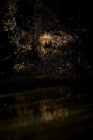 09/30/2023 Light In the Dark